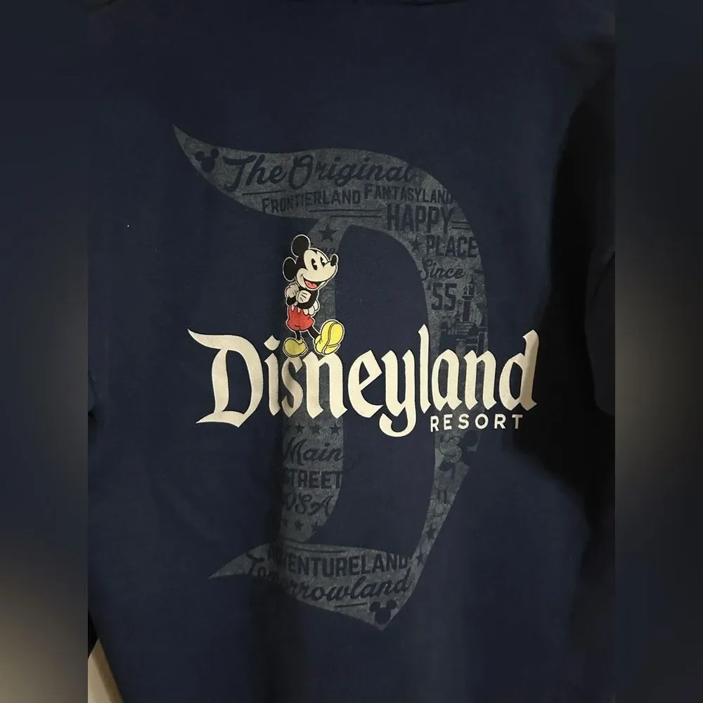Disney Women’s navy blue Sweater size small